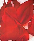 Red Cannas